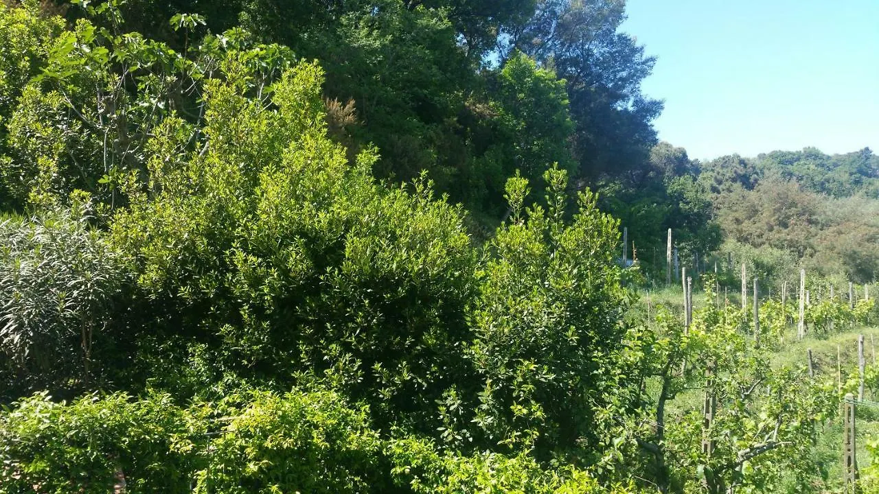 Casa Lia Villa Massarosa Holiday home