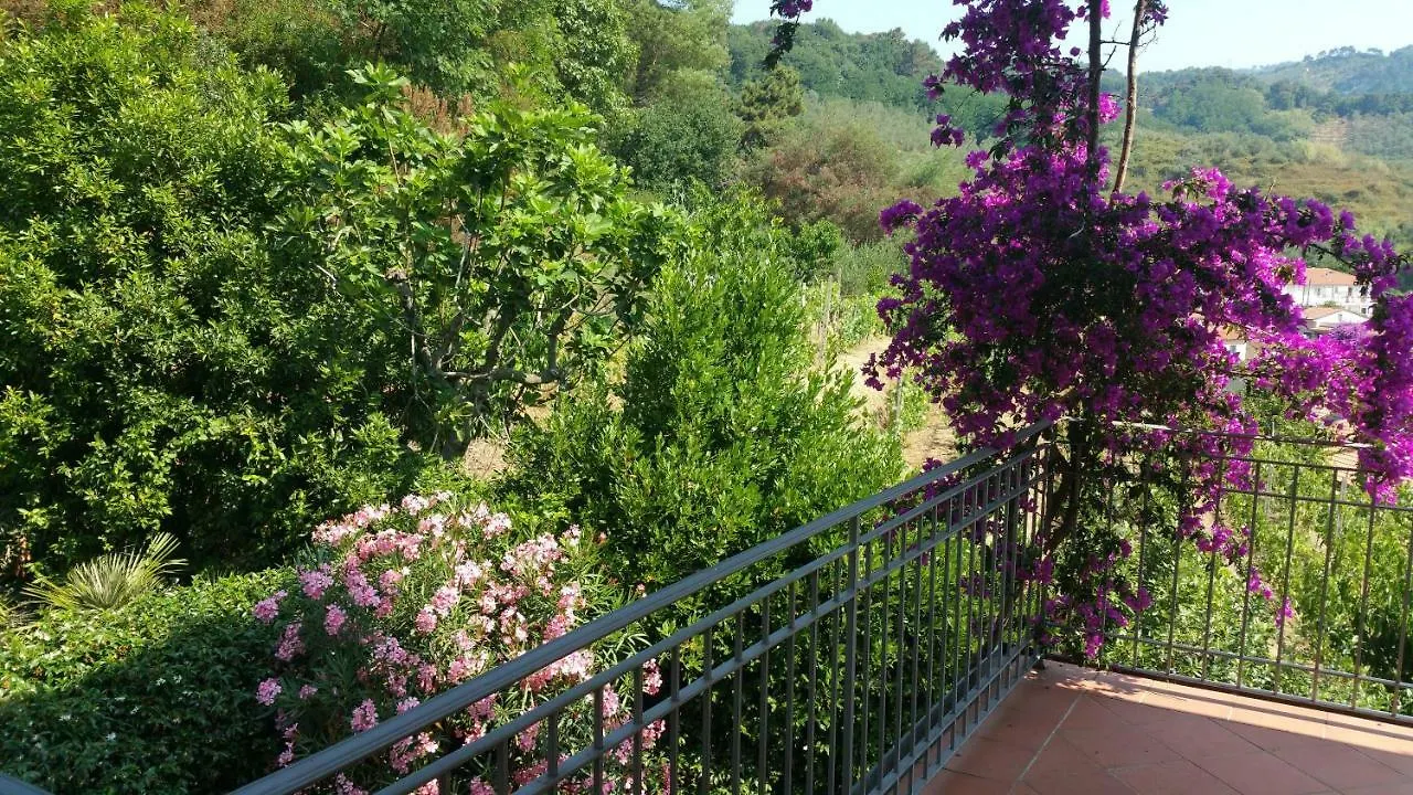 Holiday home Casa Lia Villa Massarosa