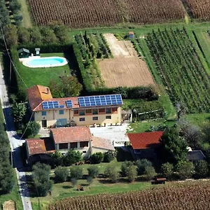 Il Chicco D'oro Appartement