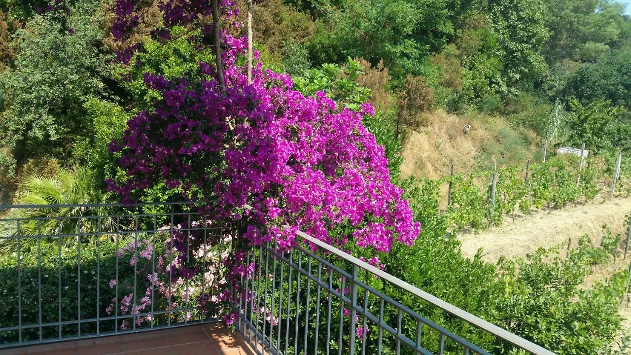 Dom wakacyjny Willa Casa Lia Massarosa